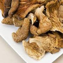 Organic Dry Oyster Mushroom for Food, Medicinal
