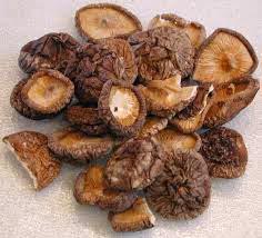 Dry Shiitake Mushroom