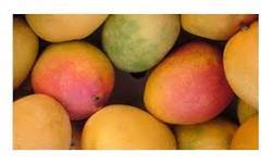 Alphonso Mango, Color : Yellow