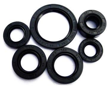 Rubber Oil Seals