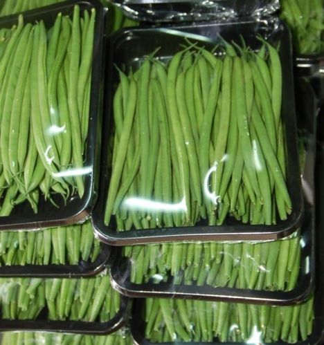 Organic Fresh Green Beans, Packaging Type : Plastic Bag