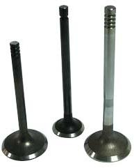 Diesel Engine Exhaust Valve