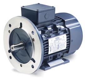 Leeson IEC Metric Motor-20HP, 230/460V, 3545/2940RPM, IP55, B3/B5, 1.15 SF, 91 Eff.