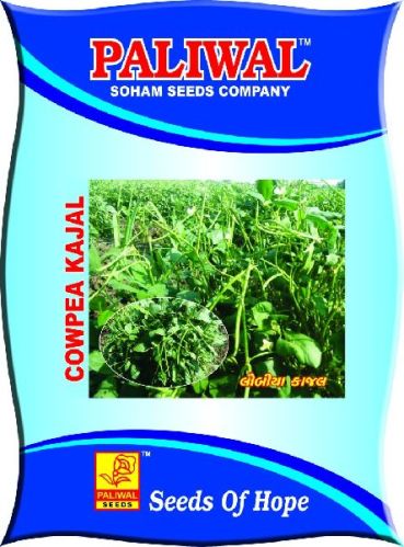 Cowpea Seeds, Purity : 90%, Specialities : Gluten Free