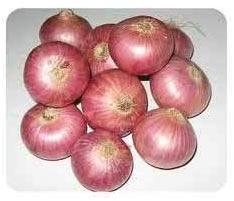 Fresh Big Red Onion