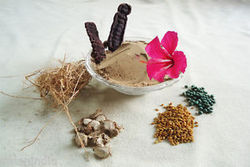 Shikakai Powder Form : Powder