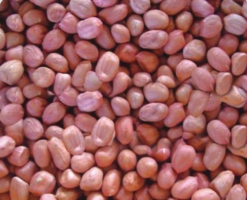 High Quality Peanut Kernels