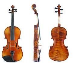 Violin