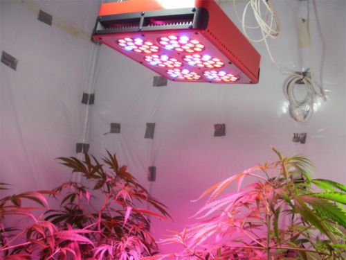 LED Garden Light
