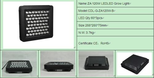 LED Plant Grow Lights