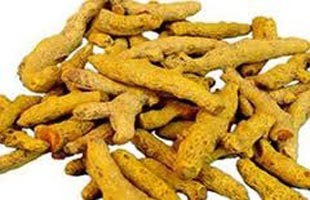 Turmeric finger, Application : Cooking
