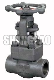 Sw Gate Valve