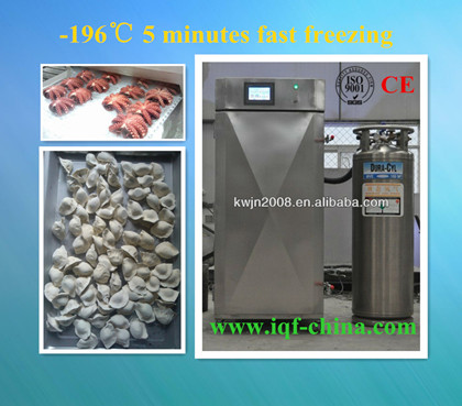 300kg/hour 4.high Quality Of Iqf Cabinet Liquid Nitrogen Freezer For Vegetable