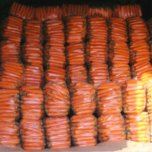 Carrot For Pickles/kimchi