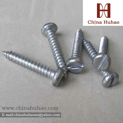 Slotted Recess Pan Head Galvanized Self Tapping Screw