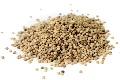 Guar Gum Seeds