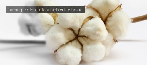 Cotton bales, Pattern : Plain