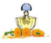 Ruh Genda Oil, Form : Liquid