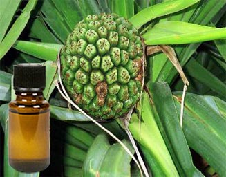 Kewra Water, Packaging Size : 1ltr, 500ml, 750ml