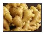 Fresh ginger, Country of Origin :India