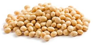 Soybean Seeds