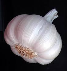 Garlic, Number Of Flower : Vegetable