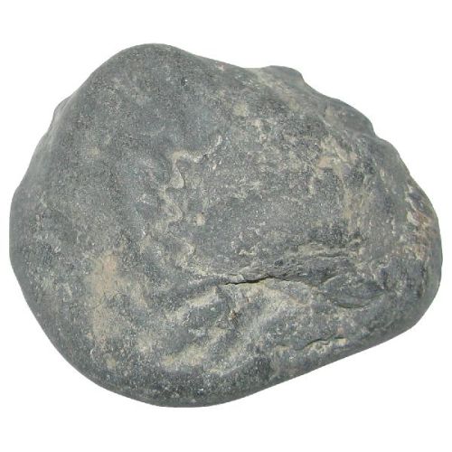 Kalki Shaligram Shila Saligram Sila Salagram Stone Saligramam