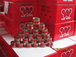 Canned Tomato Paste