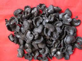 Cashew Nut Shell After Extract Oil