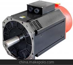 AC Servo Spindle Motor