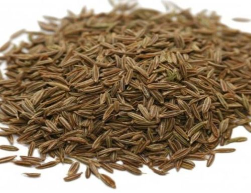 Cumin seeds, Application : Cooking