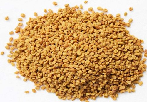 Fenugreek Seeds