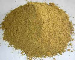 Fish Meal Premium Quality