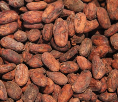 Dried Cocoa Beans