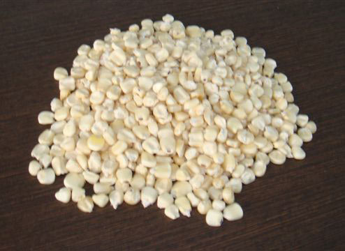 White Maize Seeds