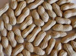 Shelled Groundnuts, Application : Snacking, Cooking, Baking
