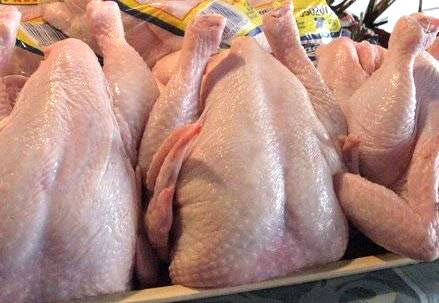 Frozen Whole Chicken, Brand Name : Seara, Packaging Type : Bulk