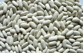 Long Shape White Kidney Bean, Packaging Size : 50
