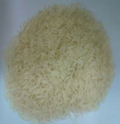 1121 white sella rice