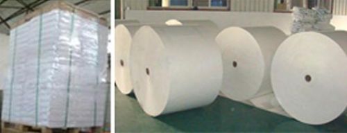 Poly Coated Paper