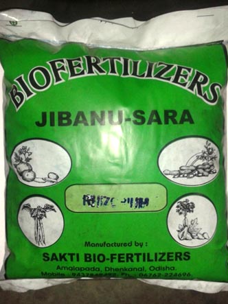 Rhizobium Biofertilizer