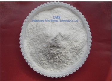Carboxymethyl Starch Sodium