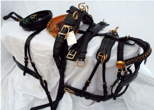 Horse Harness Set