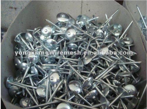 Galvanized Roofing Nails