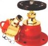 Gunmetal Hydrant Valve, Size : 63mm (2 1/2 Inch)