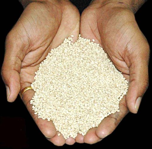 White sesame seeds
