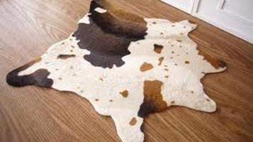 Wet Salted Cattle Hides