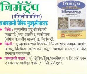 Nimatrap Pacilomisis Biopesticides