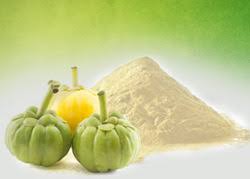 Garcinia Cambogia Extract Powder