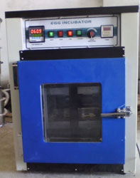 Egg Incubator